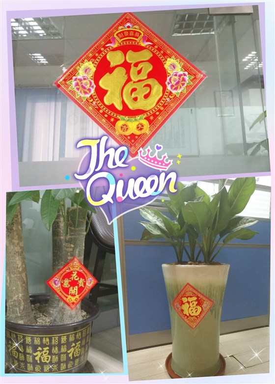 平創(chuàng)福 平創(chuàng)福