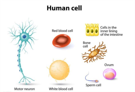 安創(chuàng)安必潔消毒耦合劑 安創(chuàng)安必潔消毒耦合劑