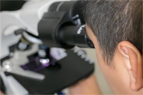 研發團隊 研發團隊