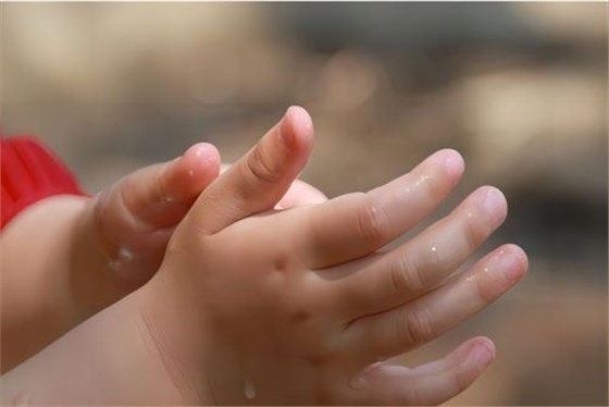 小孩的手 小孩的手